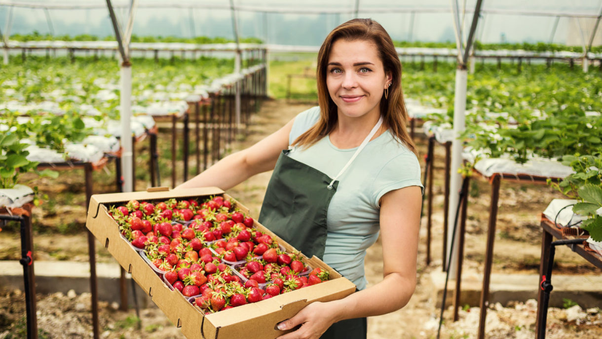 Jaka praca czeka na Polaka za granicą?